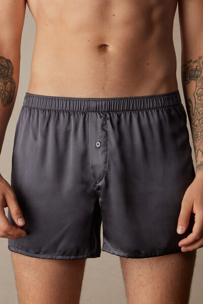 Boxer in Seta