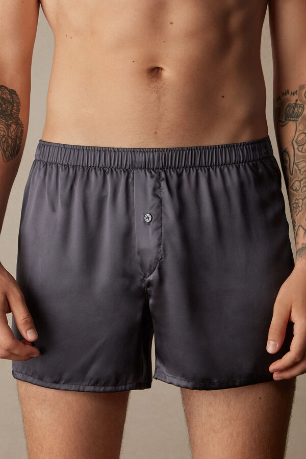 Boxer in Seta