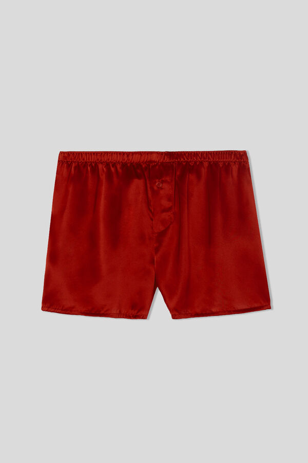 Boxer in Seta