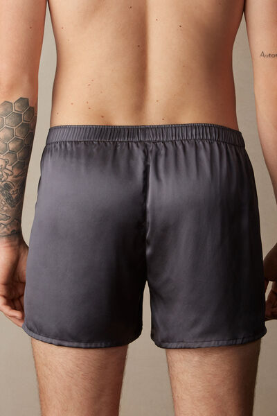Boxer in Seta