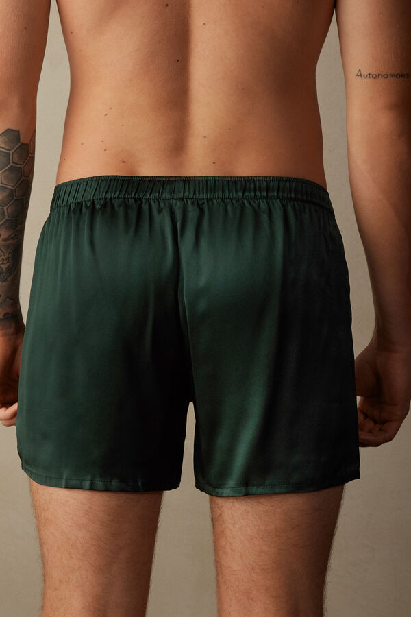 Boxer in Seta
