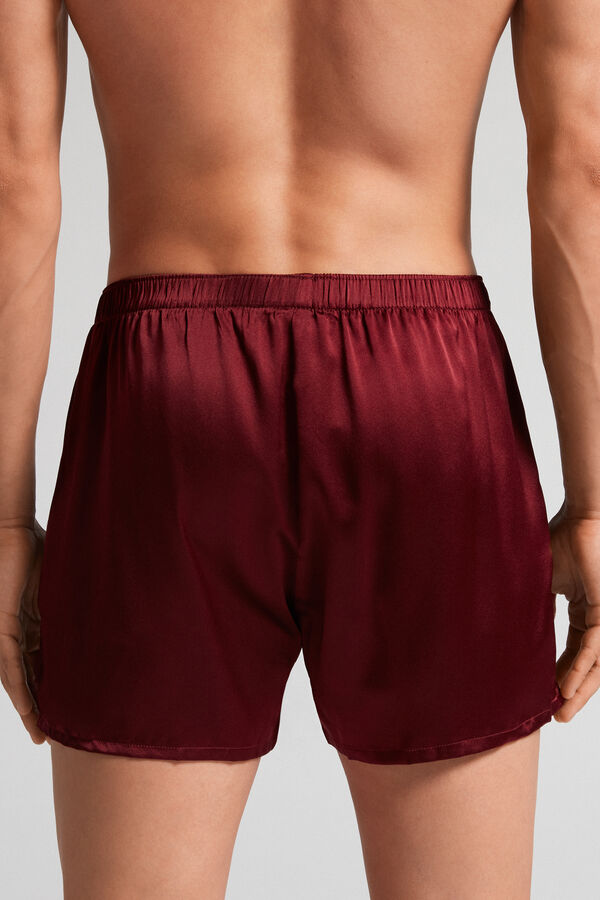 Boxer in Seta