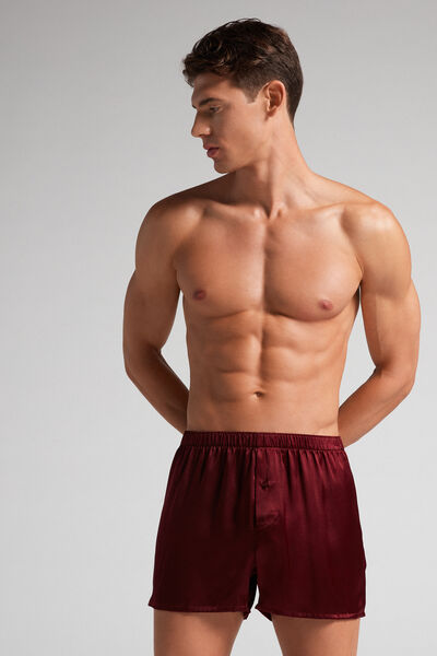 Boxer in Seta