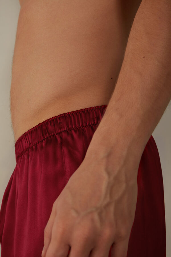 Boxer in Seta